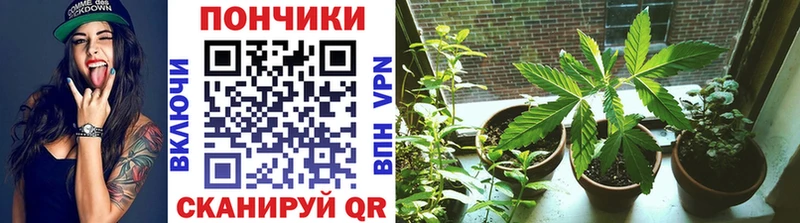 Где купить наркотики Хилок МАРИХУАНА Cocaine Alpha-PVP МЕТАДОН ГАШ Мефедрон